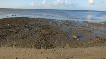 Takto nevábne vyzerá pravá pláž. Kúpať sa tu kvôli krokodílom nesmie.