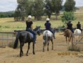 /album/fotogaleria-jazdenie-v-australii/img-1579-jpg/