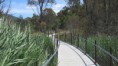 /album/fotogaleria-vianoce-a-novy-rok-v-canberre/img-1162-jpg/