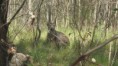 /album/fotogaleria-vianoce-a-novy-rok-v-canberre/img-1197-jpg/