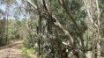 /album/fotogaleria-vianoce-a-novy-rok-v-canberre/img-1191-jpg/